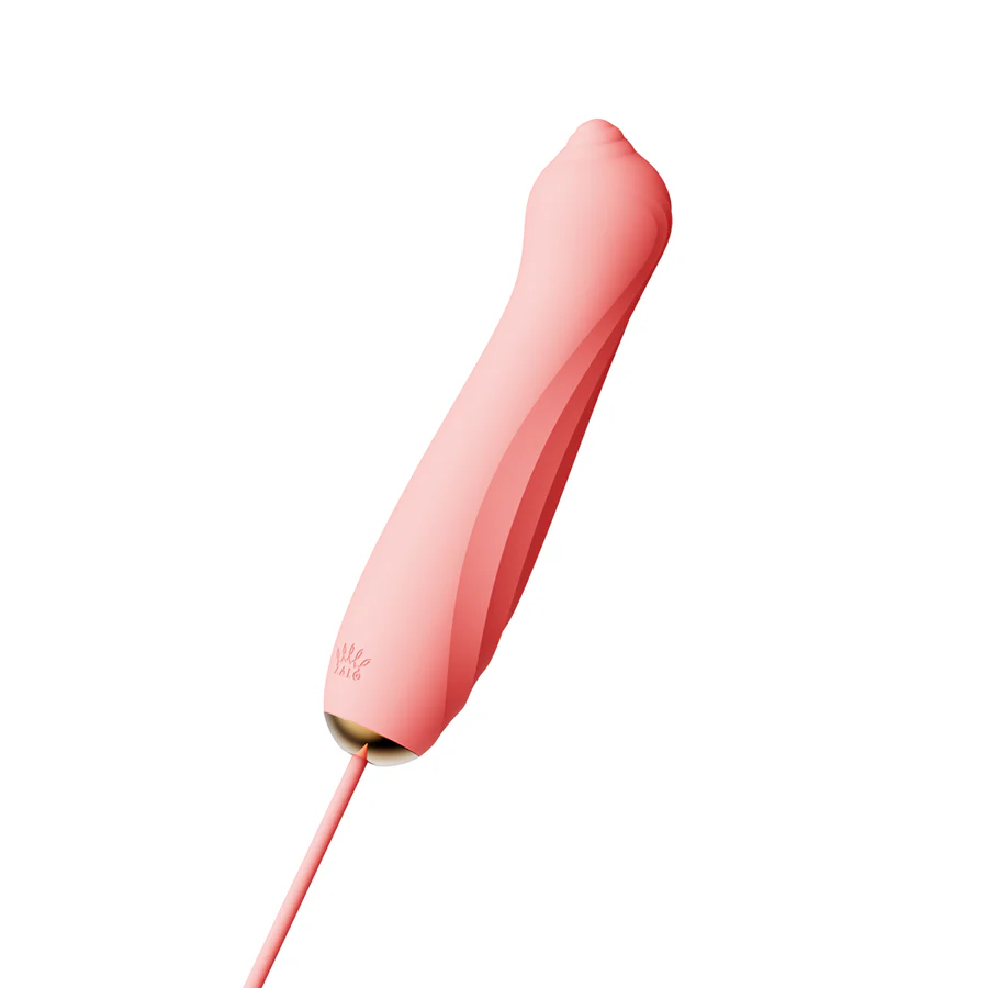Miniatura 6